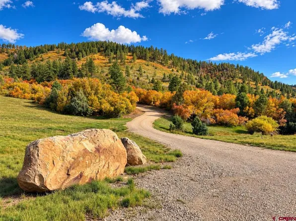 TBD Road 46, Mancos, CO 81328