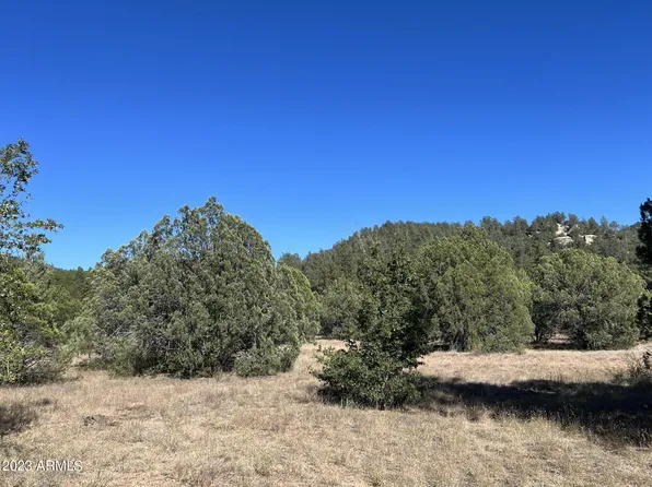 260 E Cline Crossing #2, Young, AZ 85554