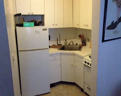 Rented by Eric Goodman Realty Corp | media 18