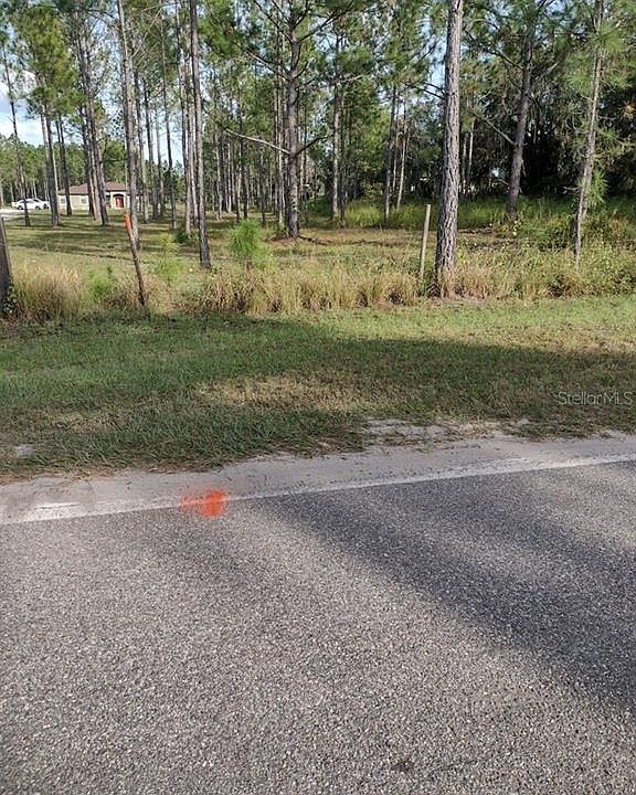 Sweet Hill Rd 207, Polk City, FL 33868 MLS A4588056 Zillow