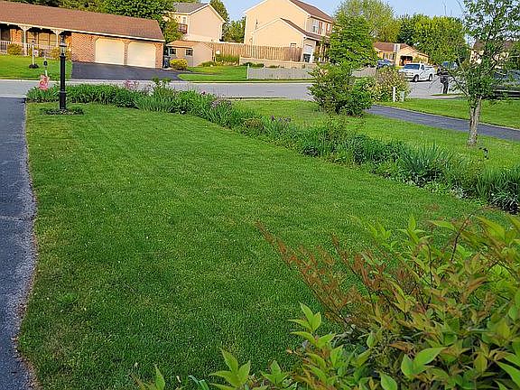 Front yard and garden