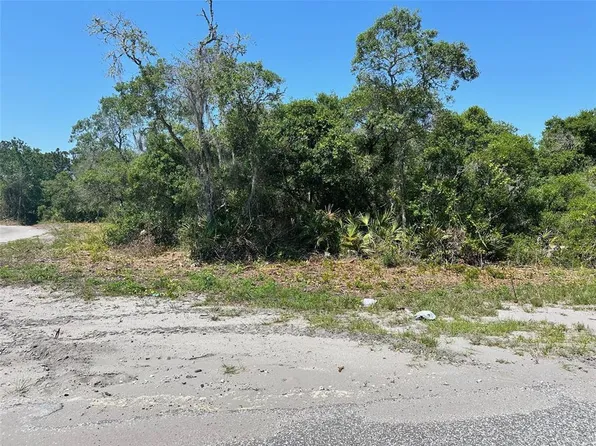 Fisher Way #57, Ocklawaha, FL 32179