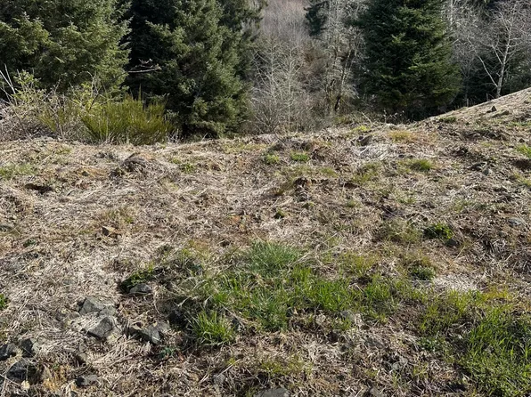 LOT 134 NE 55th Pl, Lincoln City, OR 97367