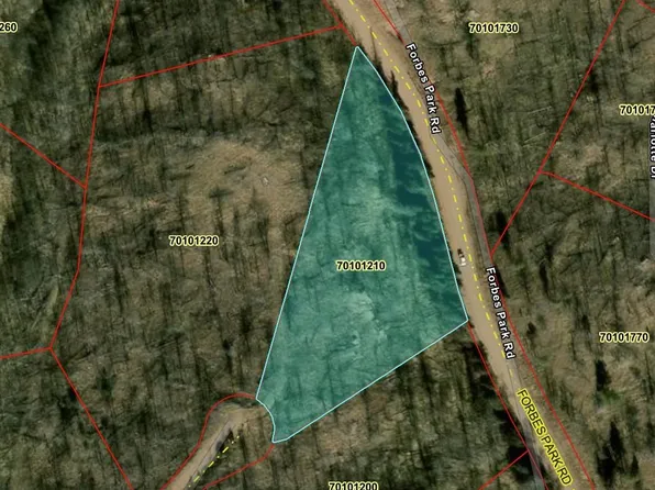 LOT 218 Wergeles Place, Fort Garland, CO 81133