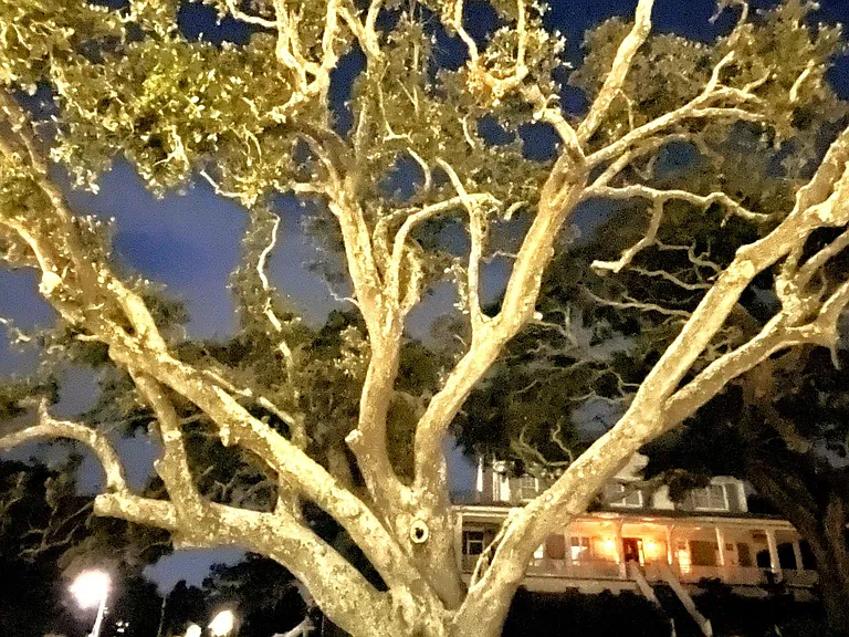 Live oak Front Beach