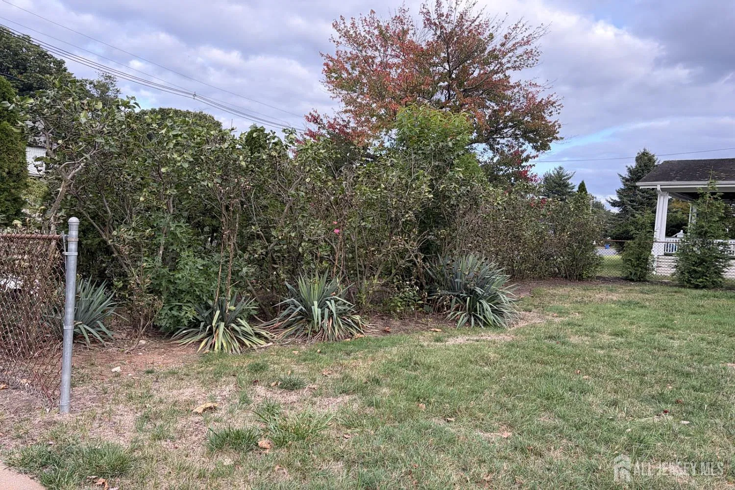3 bed, 2.0 bath, $2,500 — Photo 3