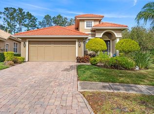 14512 Mirasol Manor Ct, Tampa, FL 33626