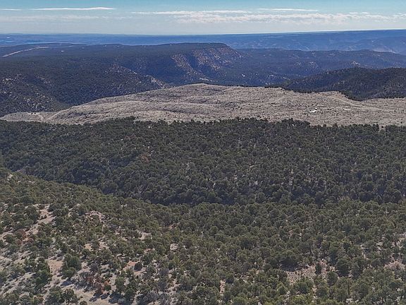 4th image of 1 W Elk Mdws S