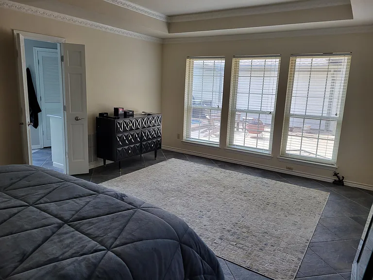 Master Bedroom (Windows overlook patio)
