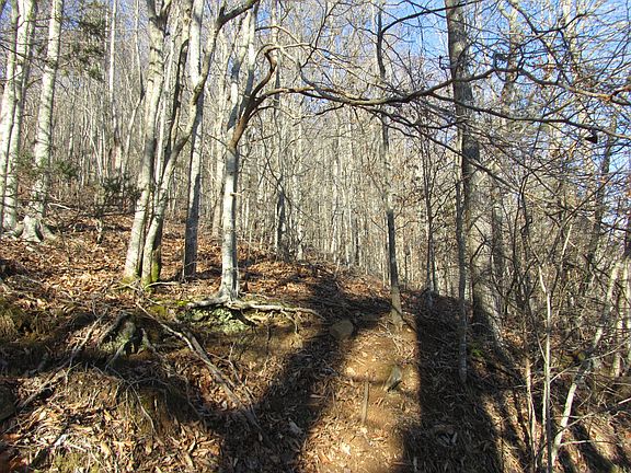 5th image of 172 Acres War Creek Cantwell Valley Rd