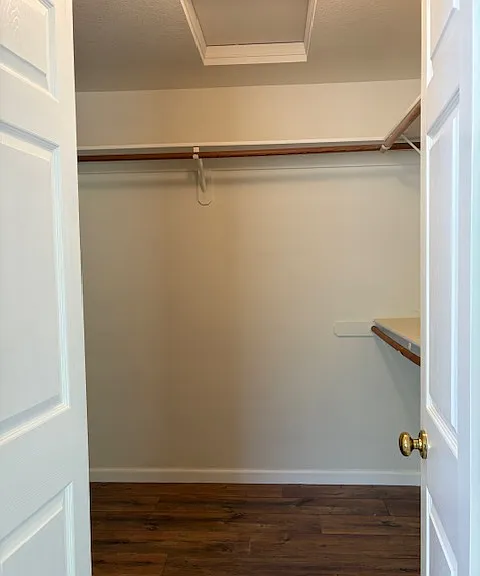 804 Quintana Dr — Photo 24