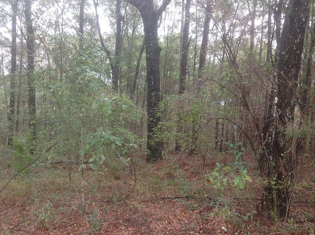 2nd image of 1766 Princeton Woods Dr W