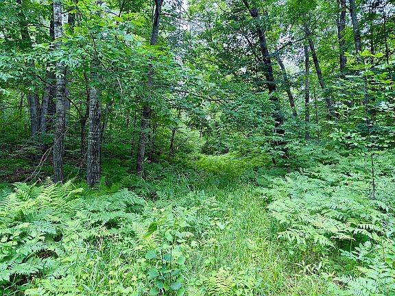 3rd image of 84 Tbd State Hwy