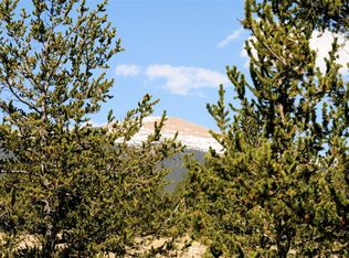 1738 Mullenville Rd, Fairplay, CO 80440