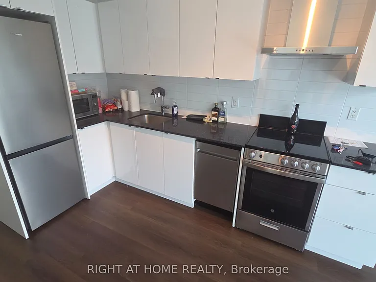 51 E Liberty St #1916 — Photo 7