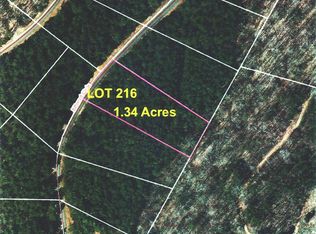 LOT 216 Bitteroot Cir, Rutherfordton, NC 28139