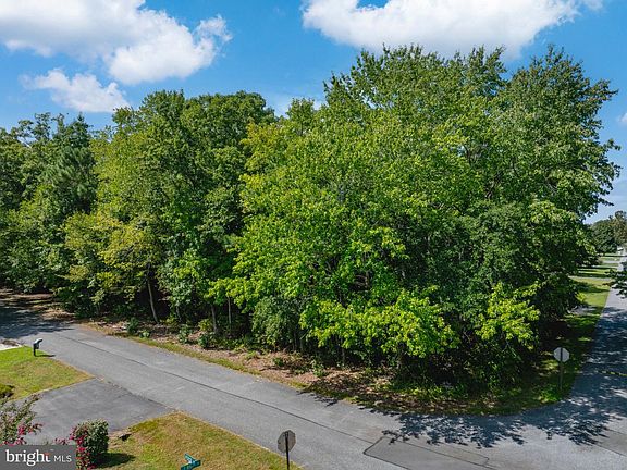 3rd image of LOT 2 E Riga Dr