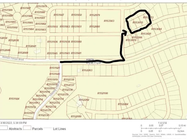 0 Roman Ct, New Caney, TX 77357