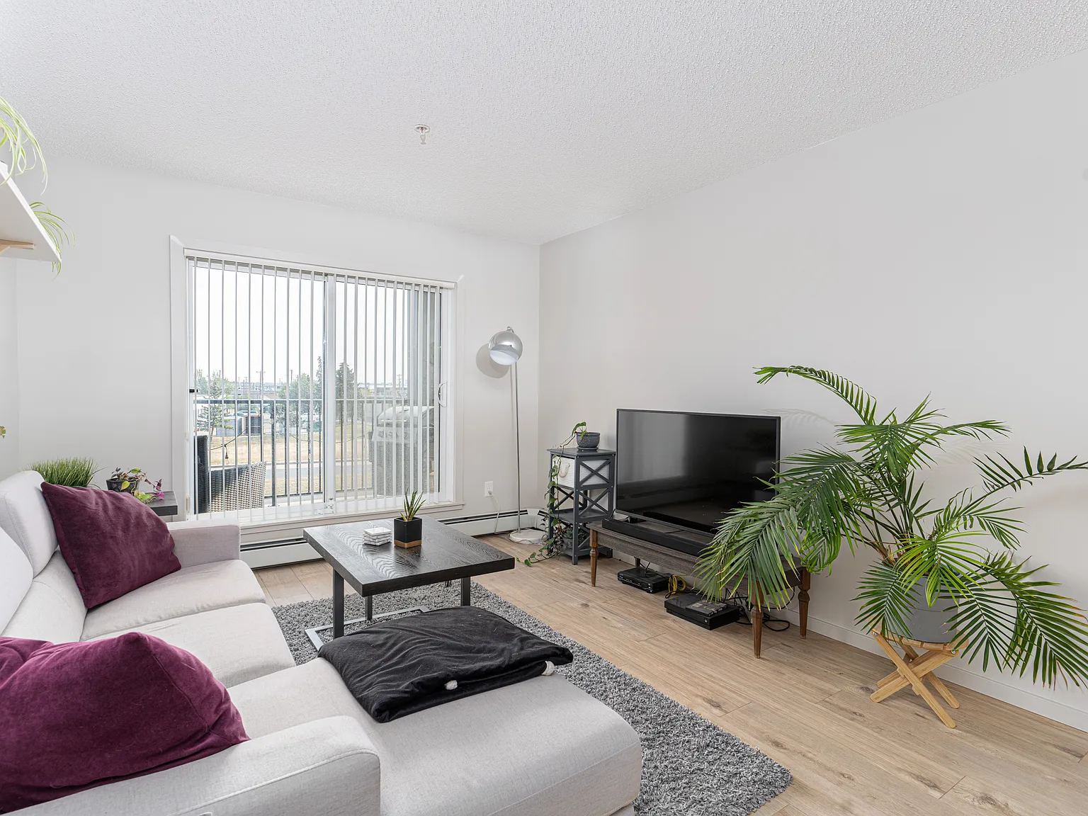 2 bed, 711 sqft, $1,800 — Photo 3
