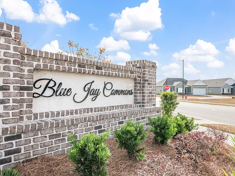 Blue Jay Commons — Photo 28