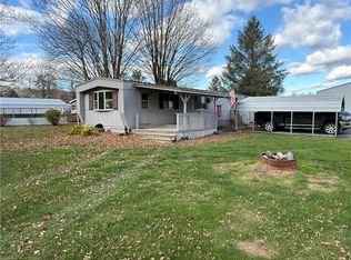 4 Marks Trailer Ct N, Dansville, NY 14437