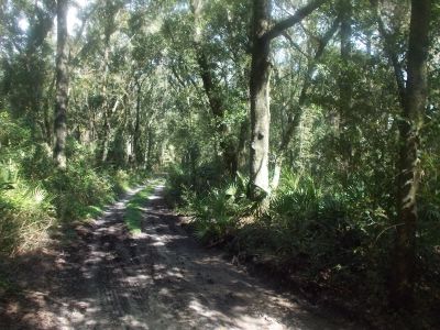 CR 349 Lot 3, Obrien, FL, 32071