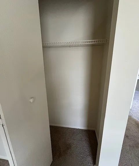 4155 Thalia Station Cir — Photo 17