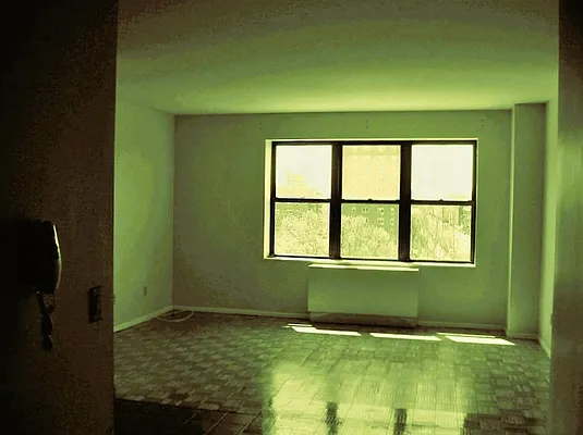 Rented by Voro New York | media 43