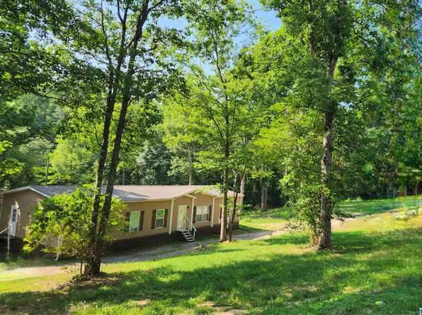 1114 Roulain Rd, Odenville, AL 35120