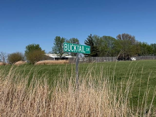 2nd image of Bucktail Ln #1