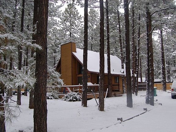 large lot, tall pines