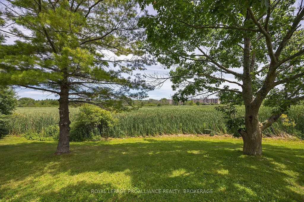 580 Armstrong Rd #201, Kingston, ON - More