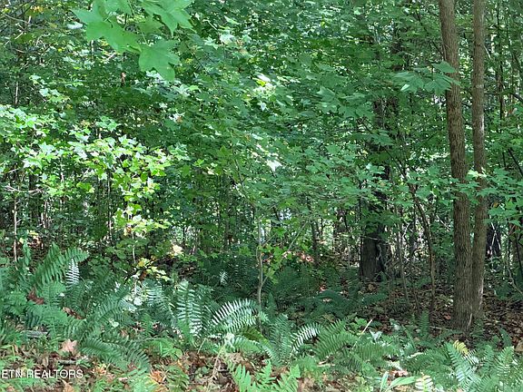 5th image of Sheerwater Rd