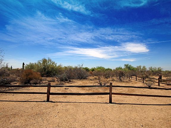 Quail Track4