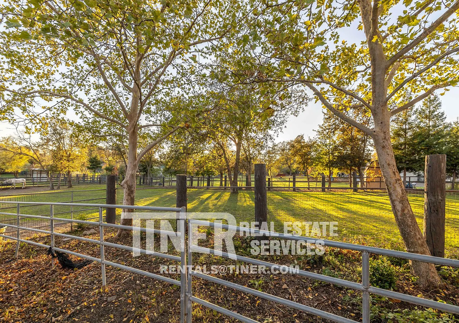 3845 Marshall Ave - Tier 1 - Beautiful home overlooking horse pastures in Carmichael — Photo 4