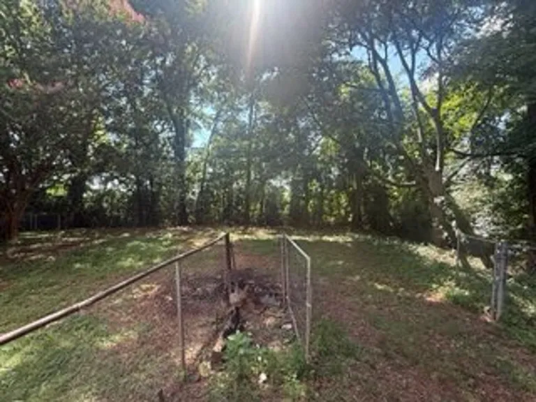 Back yard