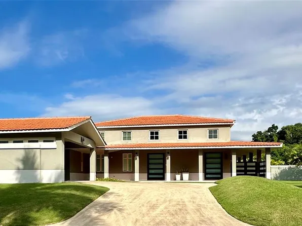 462 Camino De La Vlg, Dorado, PR 00646