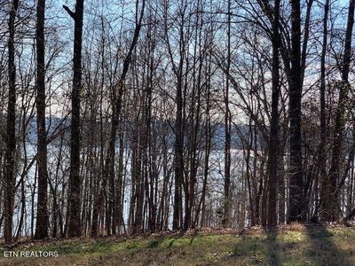 E Shore Dr, Rockwood, TN, 37854
