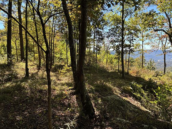 5th image of 4093 Raulston Falls Rd Lot 27A-S