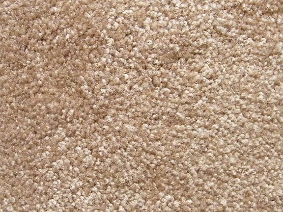 Brand New "Iced Mocha" Carpet Throughout