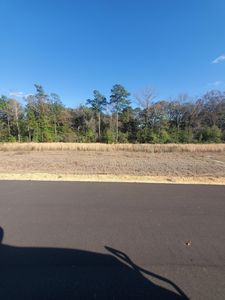 14 Sandhill, Hattiesburg, MS, 39402