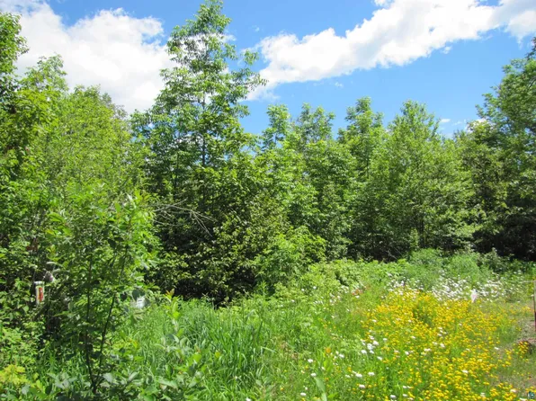 4 Jonvick Rdg, Lutsen, MN 55612