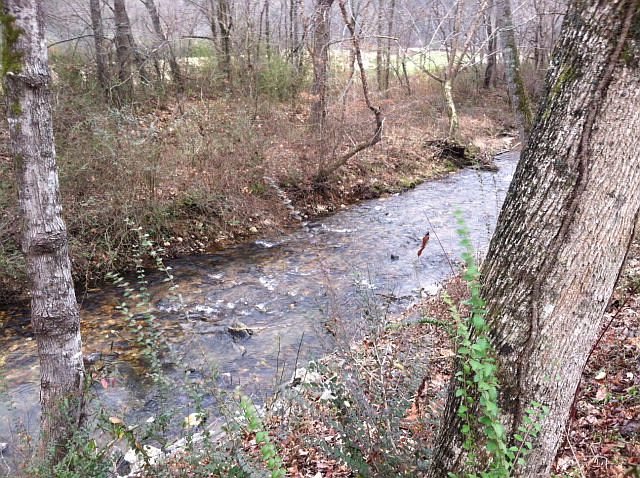 1st image of 188 McKee Creek Ln