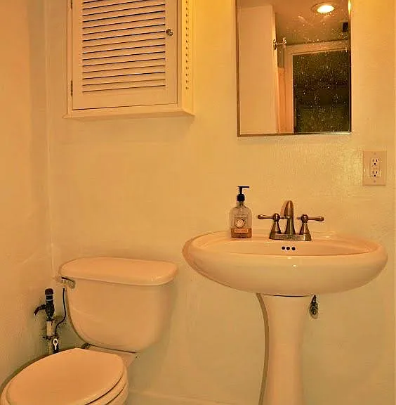 424 S Loomis Ave — Photo 14