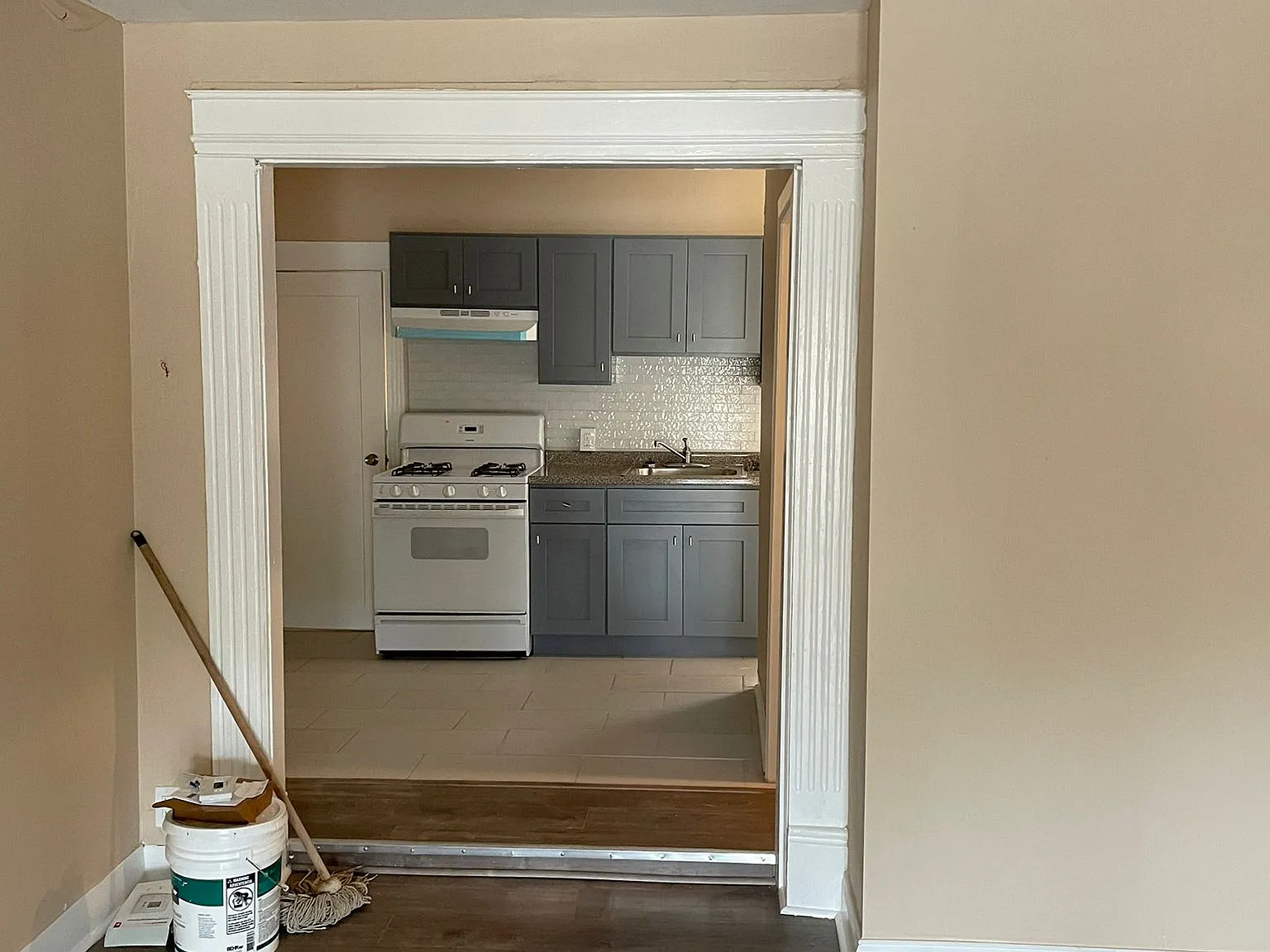 1810 West Ruscomb Street Apt#1 - 1FL — Photo 1