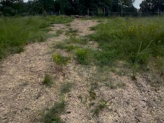 5th image of 7813 Cinder Bed Rd