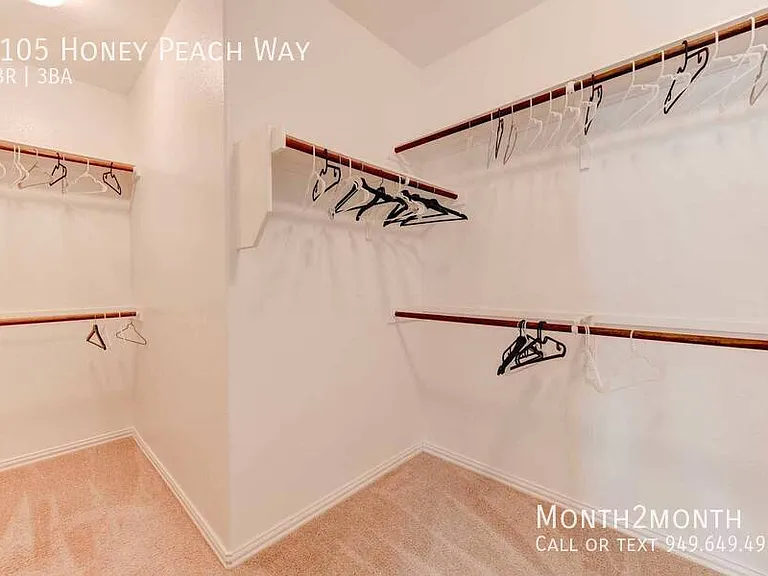 3105 Honey Peach Way — Photo 29