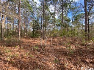 LOT Inheritance Rd #B, Conway, SC 29527