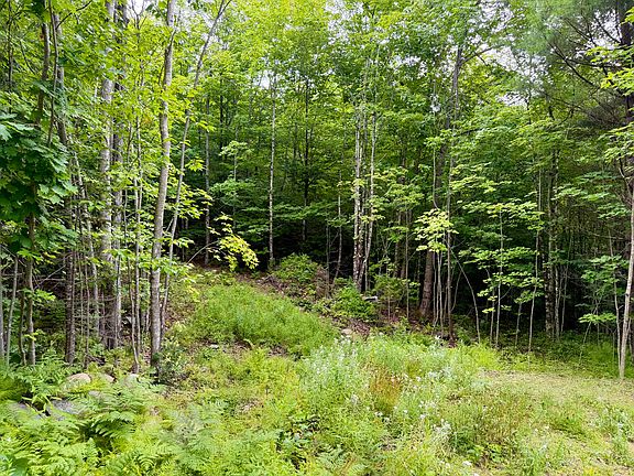 4th image of Lot 2 Mooseley Ridge Road