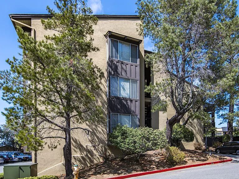 Skylark Apartments — Photo 50